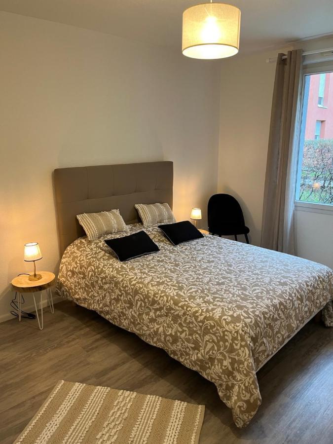 Le Gite De Marc - Parking Prive Gratuit + Terrasse Colmar Zewnętrze zdjęcie
